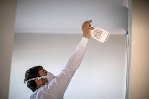 Best Fast Mold Removal  in Kingston, NY