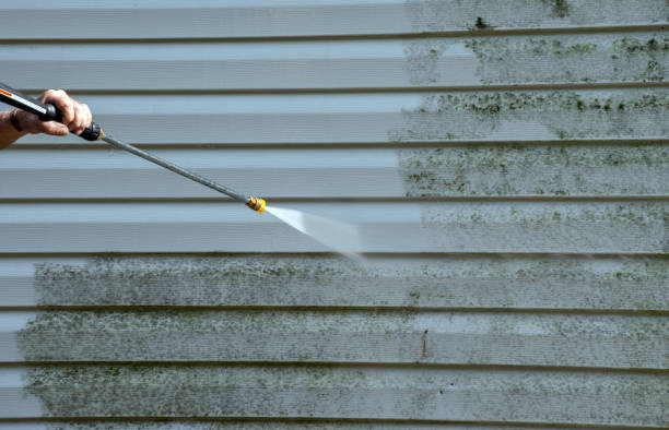 Best Mold Cleaning Services  in Kingston, NY