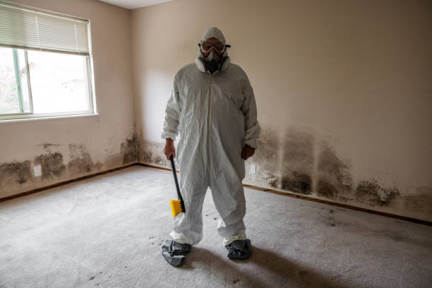 Water Damage Restoration in Kingston, NY